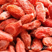 Baies de goji biologiques fraîches séchées wolfberries à vendre